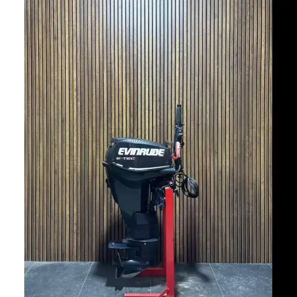 Evinrude E-TEC 25 HP EFI outboard engine