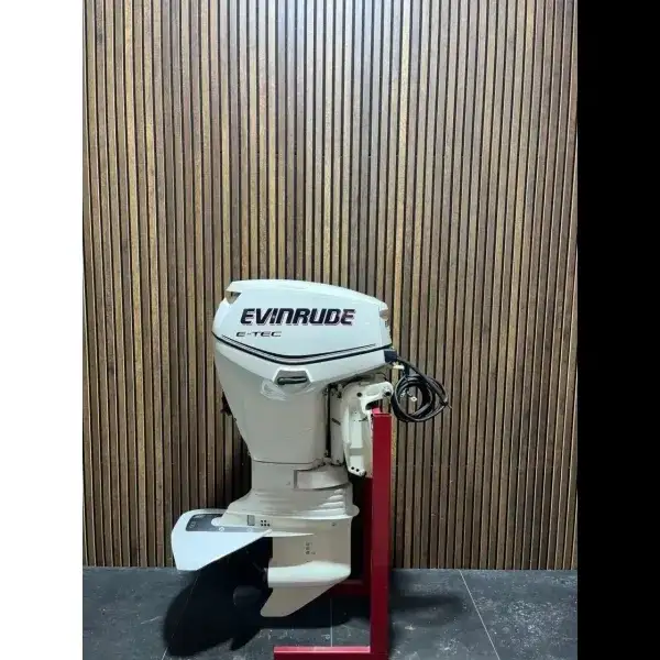 Evinrude E-TEC 50 HP outboard engine