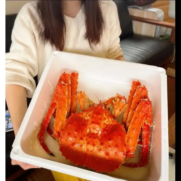 Whole Alaskan King Crab 12lbs