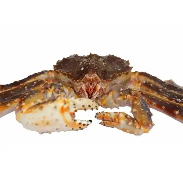 Live Alaskan Red King Crab 8lb - Wild Caught