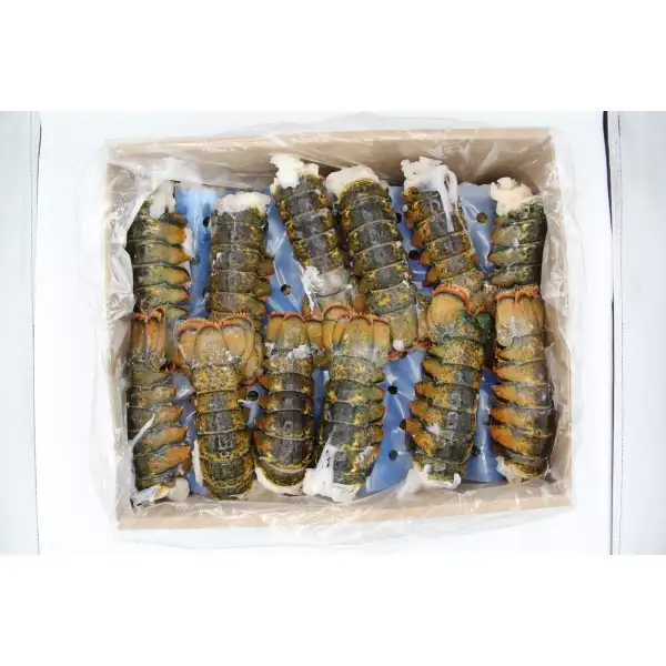 Frozen Lobster Tails